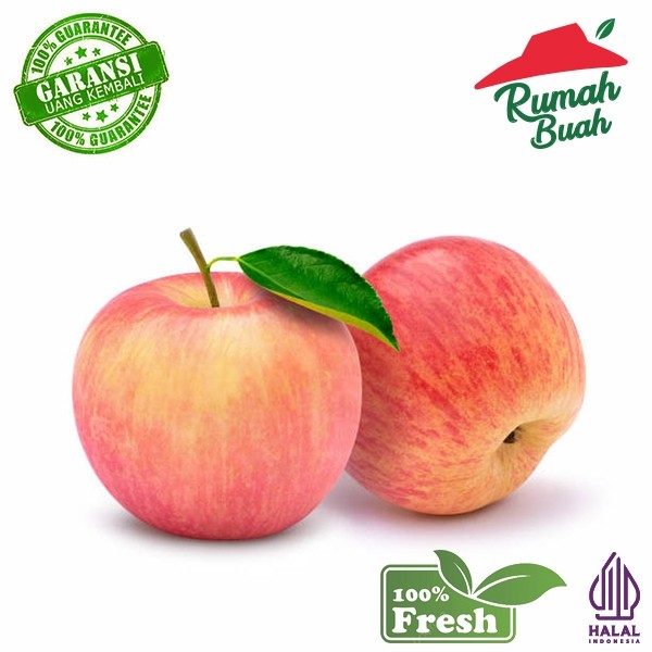 

BUAH APEL FUJI 1 KG [RUMAH BUAH] BEST SELLER
