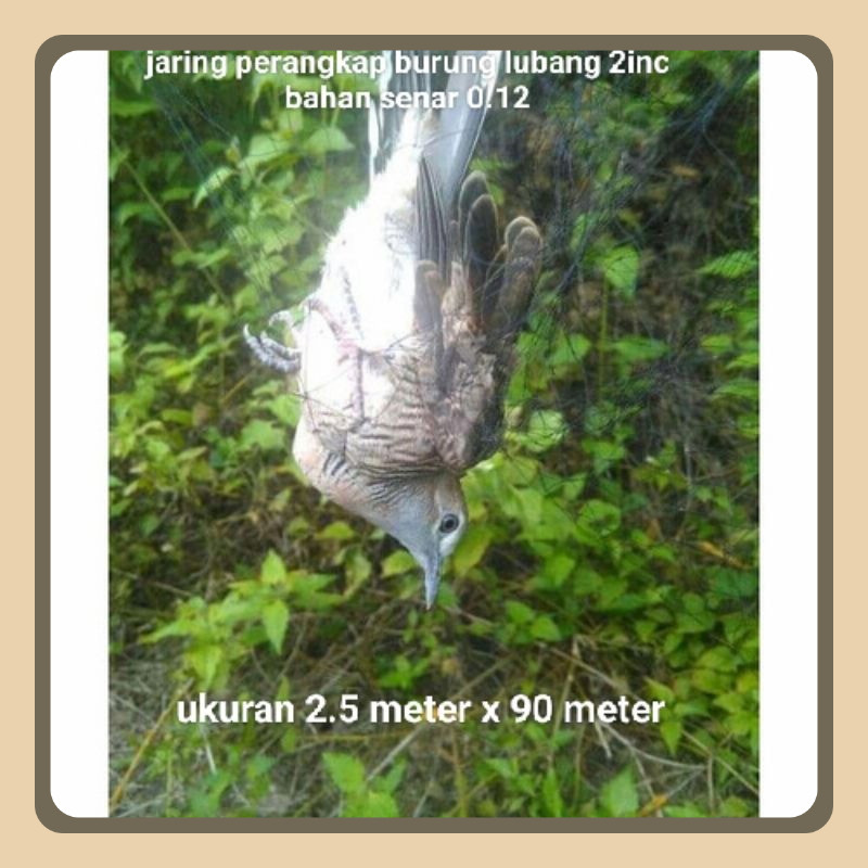 jaring perangkap burung lubang 2inc 2.5meter x 90meter warna hitam