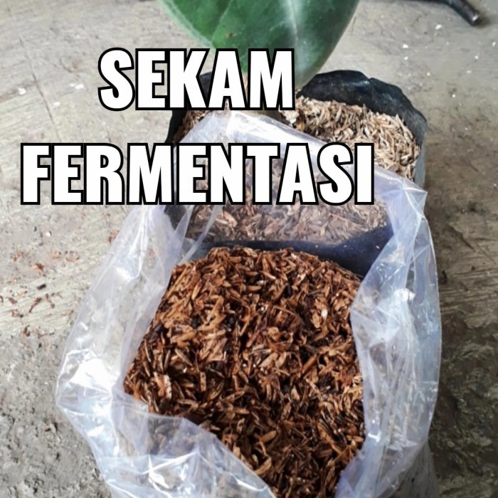 Sekam fermentasi, sekam + cocopeat fermentasi, Media tanam ber GARANSI