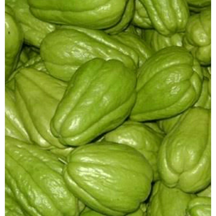 

Labu Hijau kecil Waluh Murah Bandung