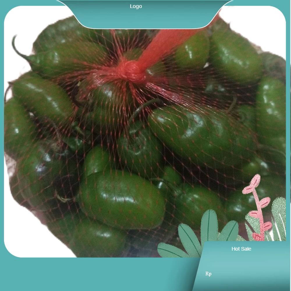 

cabai gembor cabai gendot pedas segar fresh