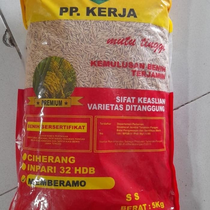 

Promo PADI MEMBRAMO PREMIUM PPKJ 5KG