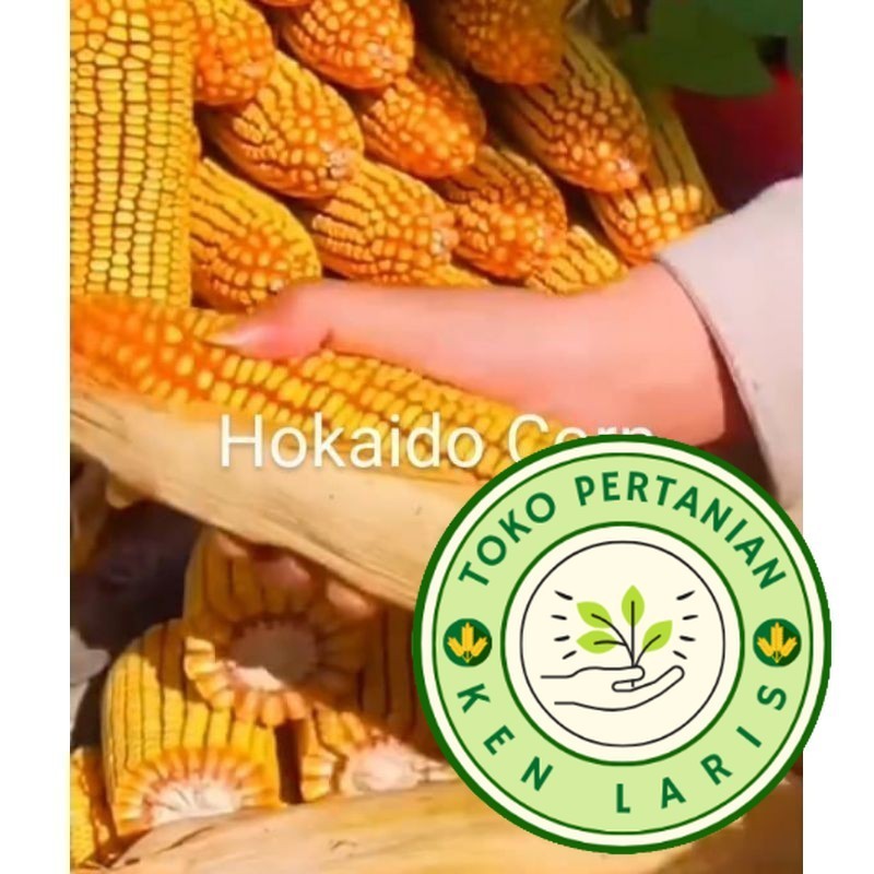 1KG Benih Jagung Jepang Raksasa KEMASAN RIPACK