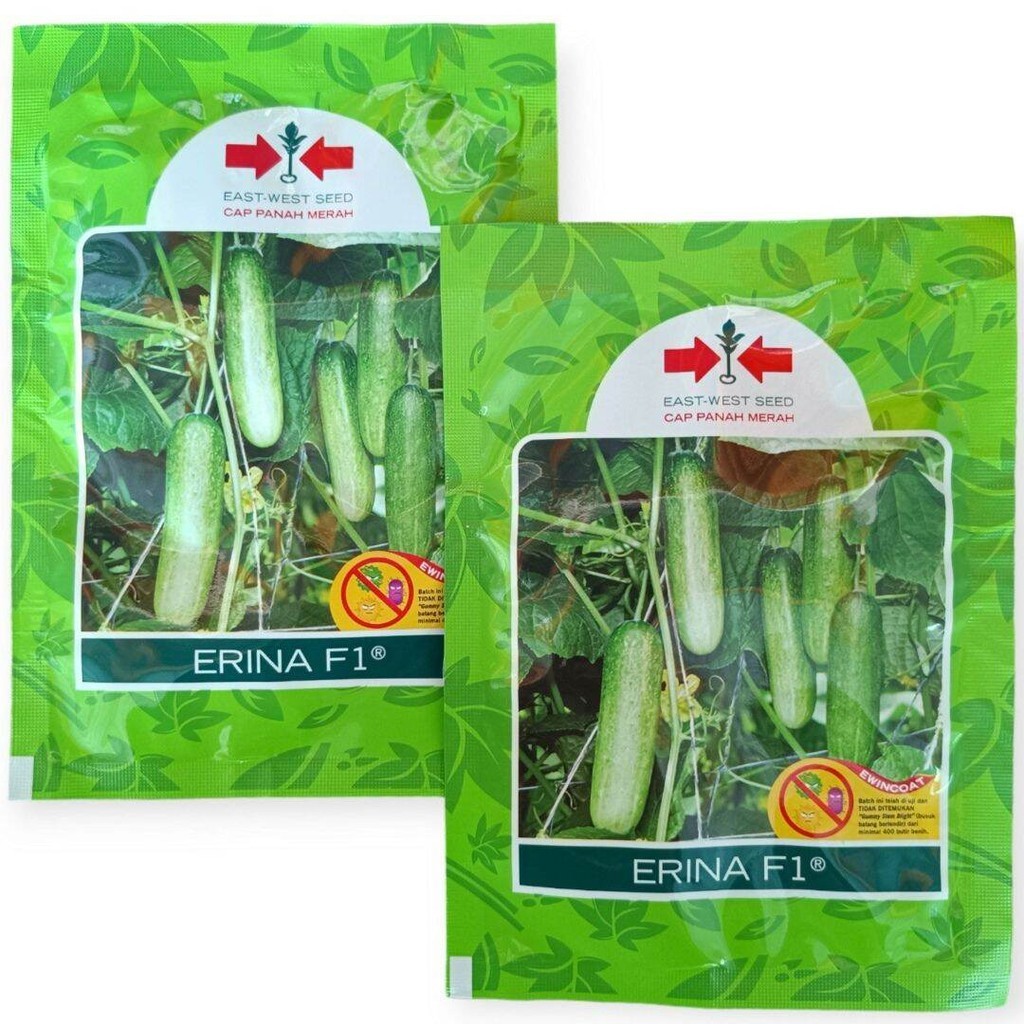 Bibit Timun Hibrida ERINA F1 isi 800 Butir. Benih Timun ERINA F1 Original Cap Panah Merah