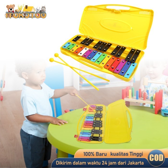 PP Xylophone Glockenspiel Percussion Rhythm Musical Mainan Anak Musik