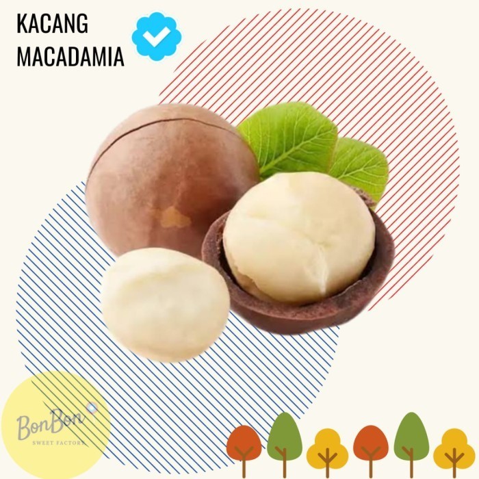 

KACANG MACADAMIA PANGGANG 500 GRAM / MACADAMIA ROASTED