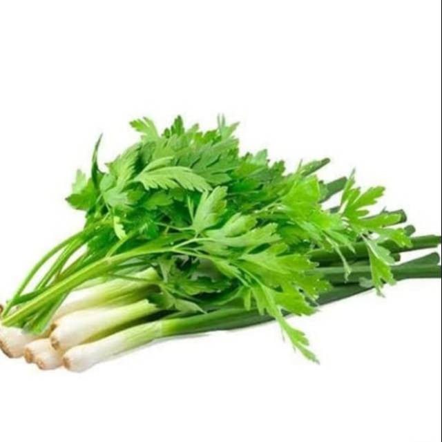 

Daun Bawang Seledri 1 Ikat 180 - 280 g