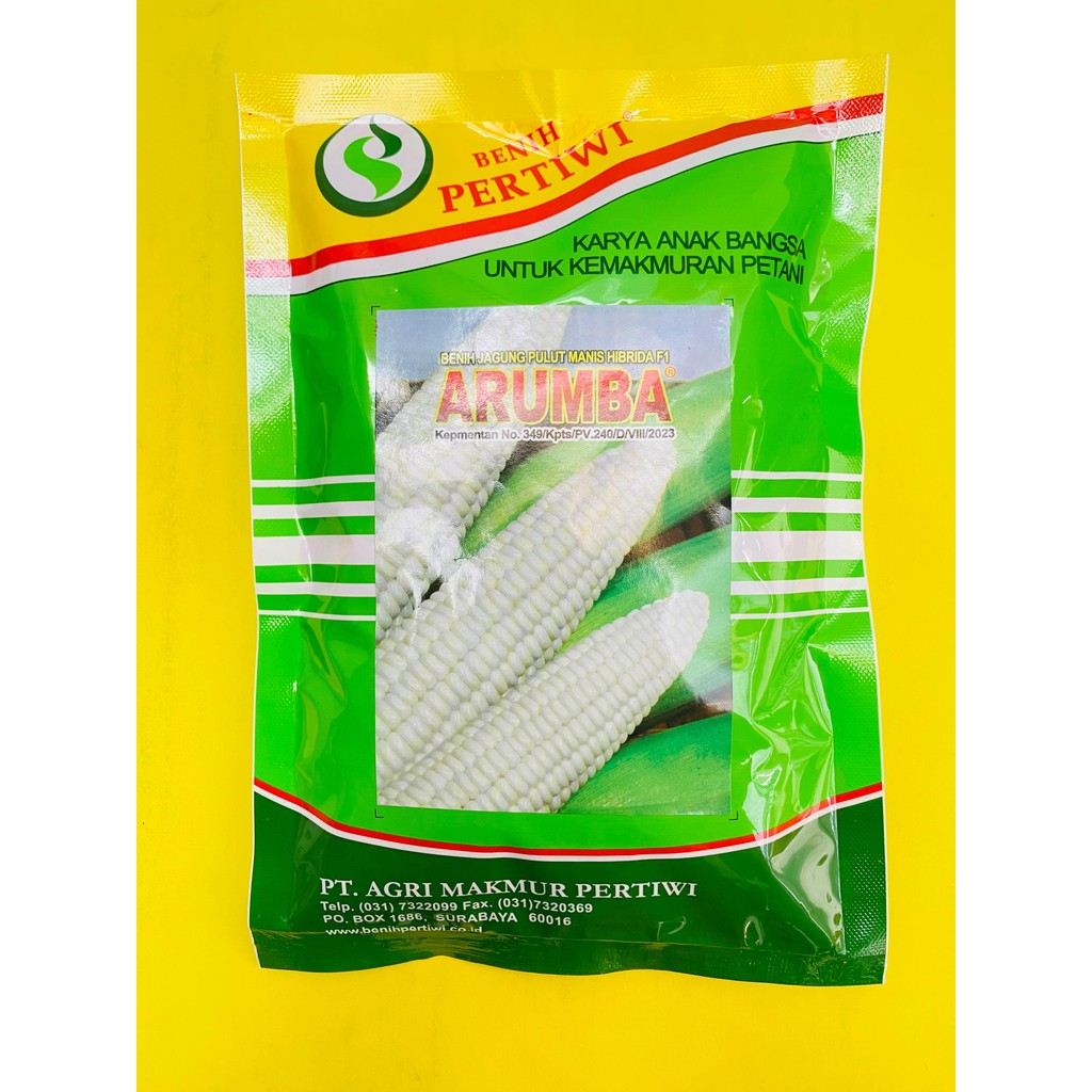 Benih jagung manis pulut jagung putih hibrida f1 ARUMBA isi 250gr dari PERTIWI