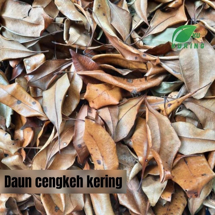 

100 gram daun cengkeh kering Rempah_herbalCo