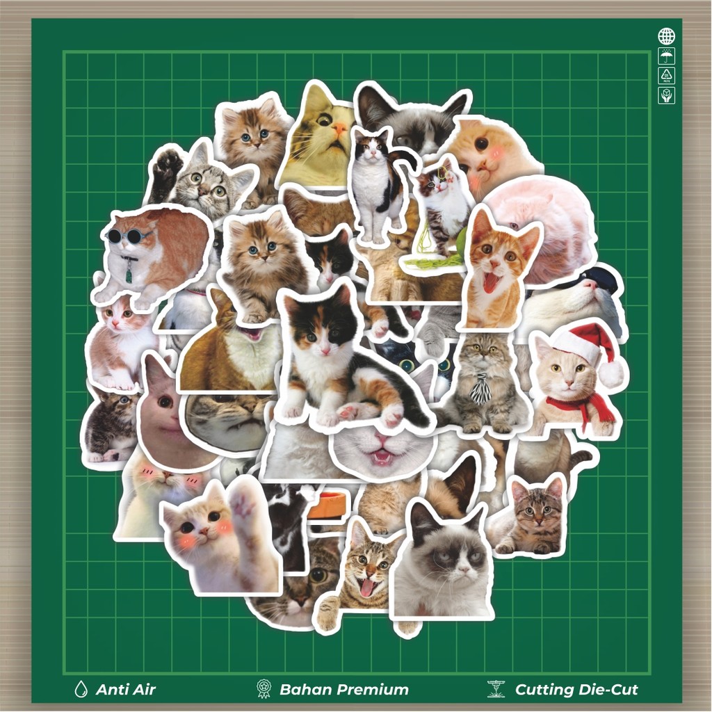 

HOT 50 PCS STIKER Stiker Cat/Kucing Kawaii V5 Stiker Fashion Cars Decal Dingin Kartu Album Custom Vinyl Anti Air- Sticker Aesthetic Buku Journal Koper Casing HP Tablet Laptop Helm Motor Botol Minum
