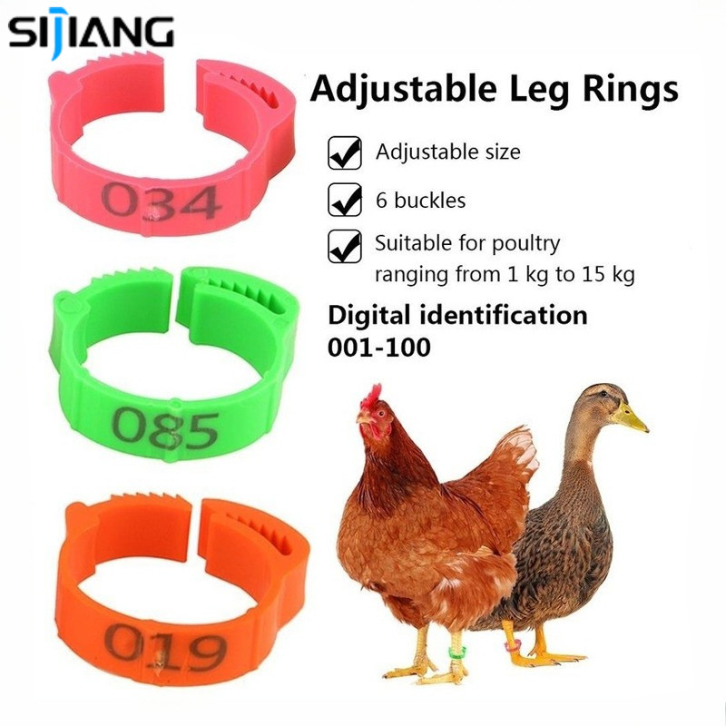 SIJIANG 100pcs Cincin Ring Gelang Kaki（Ayam & Bebek）/Ring Gelang Kaki Ayam Nomor 001-100/ring Ayam/r