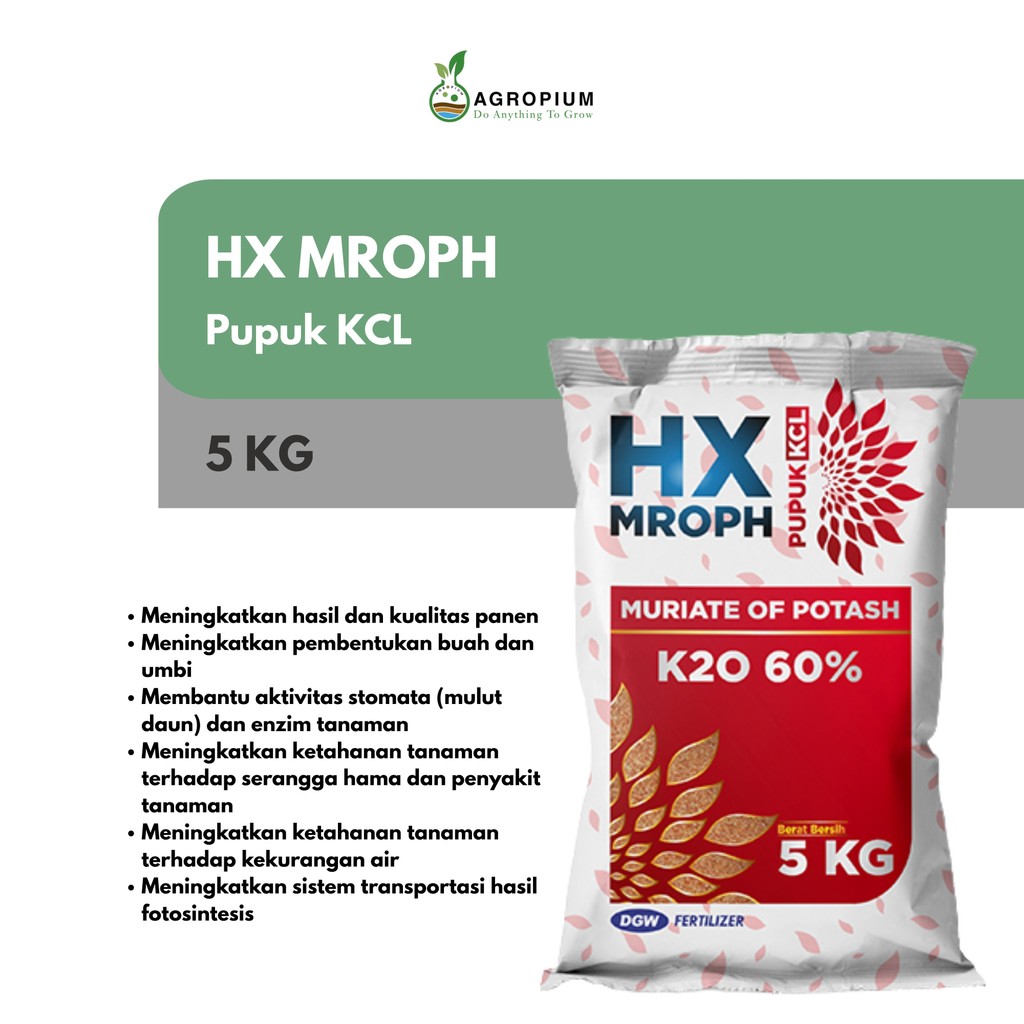 Pupuk KCL HX MROPH Produksi DGW Kemasan 5 Kg