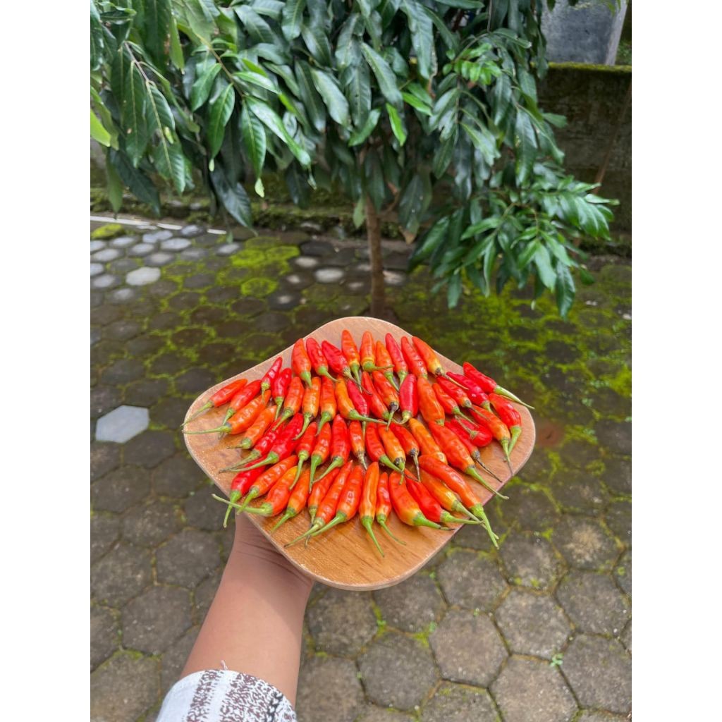 CABE RAWIT MERAH SUPER 1KG/500GR