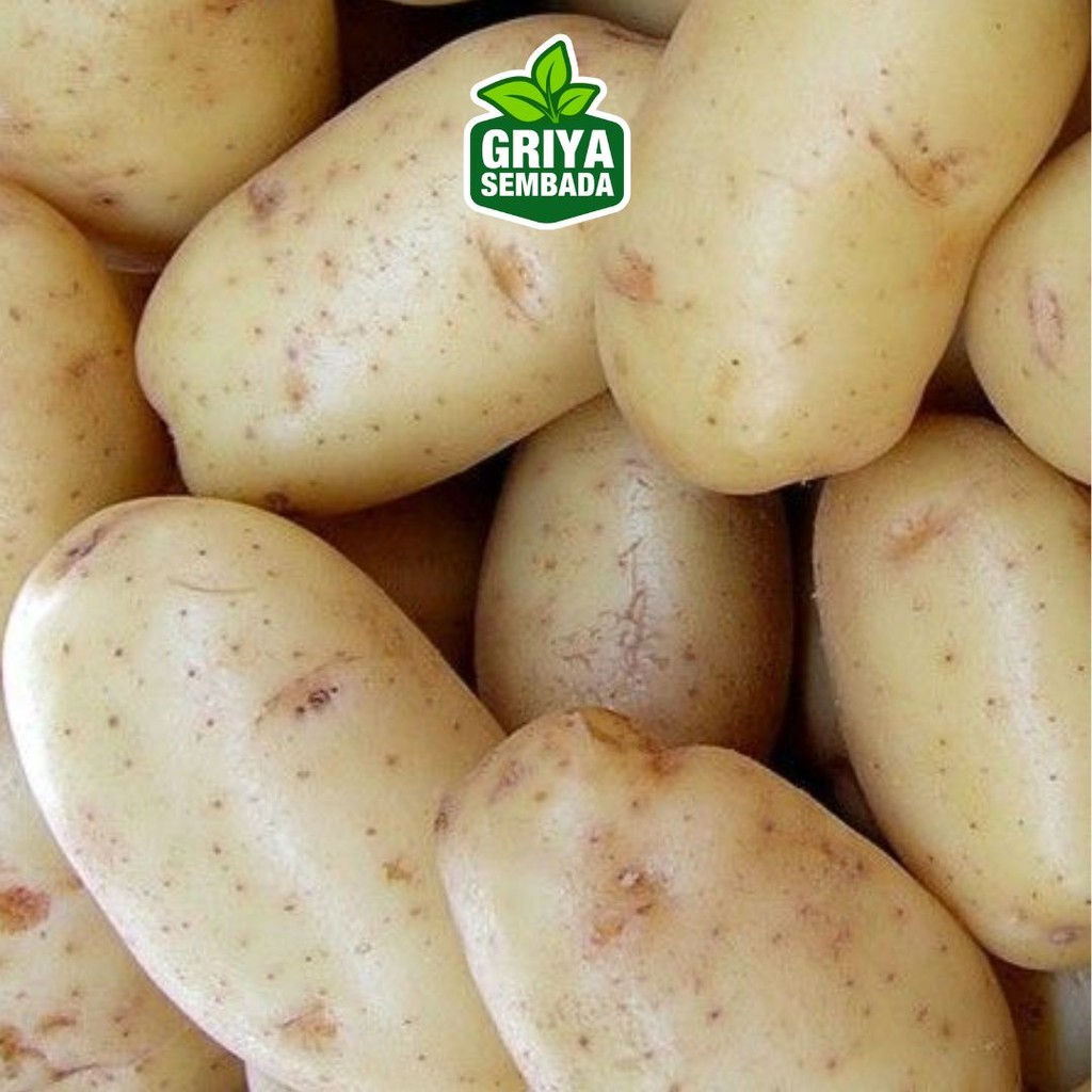 

Kentang Fresh - Griya Sembada Kirim Instant/Sameday/Grabfood