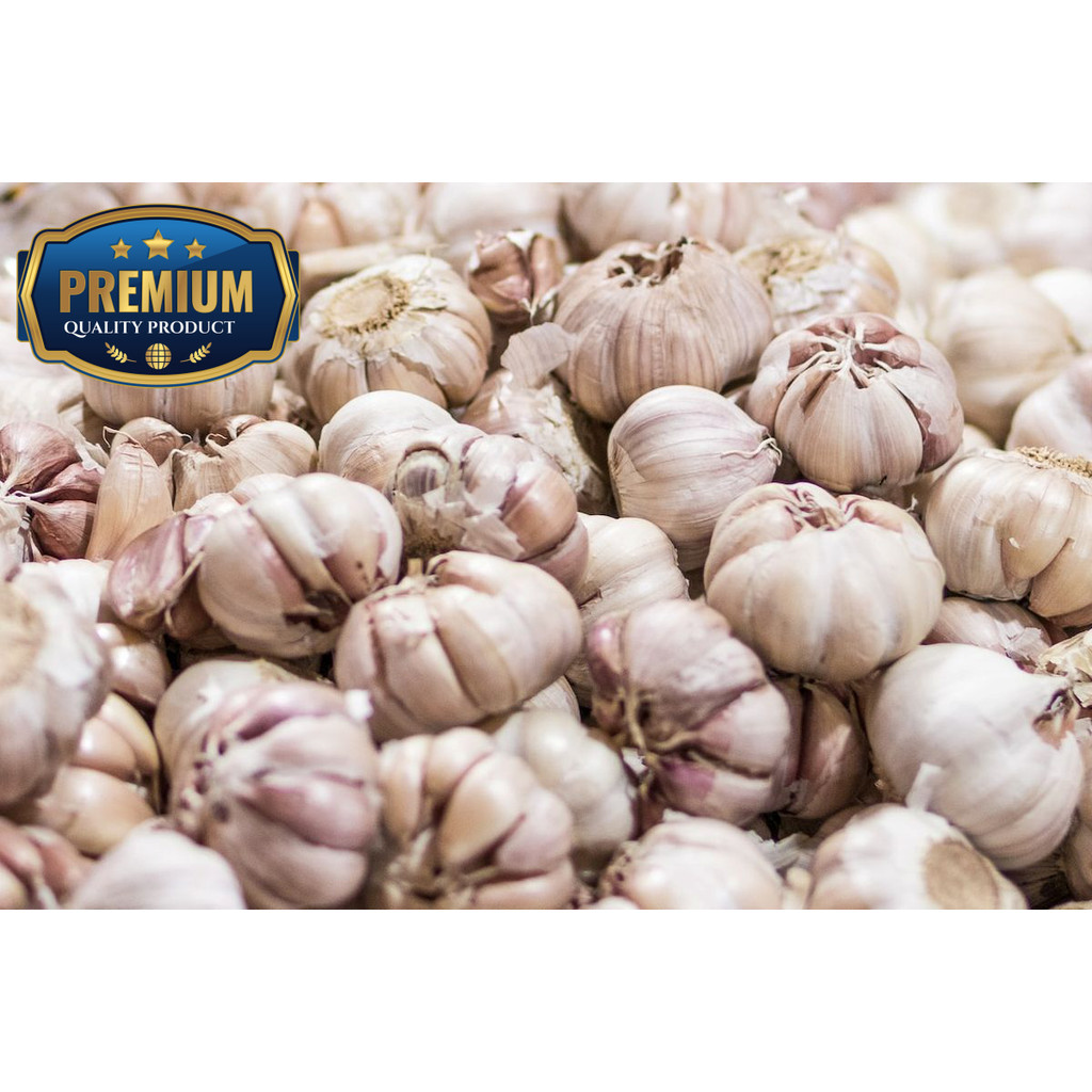 

promo bawang putih kualitas terbaik