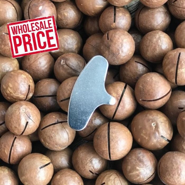 

MACADAMIA NUTS 500 GR / KACANG MAKADAMIA PANGGANG ROASTED BUTTERMILK - 100 GR