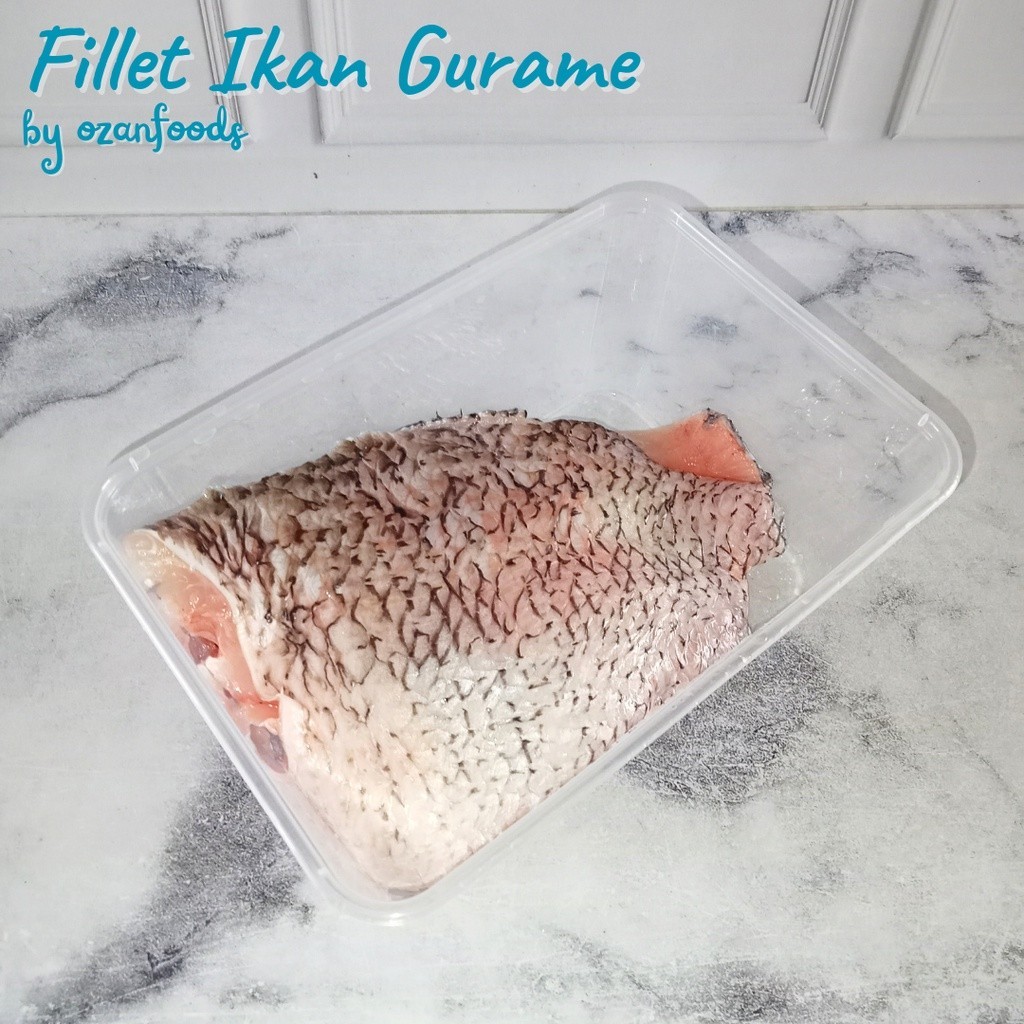 

Fillet Ikan Gurame 1 Ekor