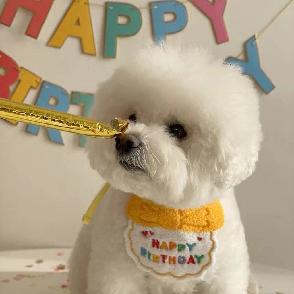 Bib ulang tahun anjing kucing/bib ulang tahun anjing/perlengkapan brithday pet/dekorasi ulang tahun