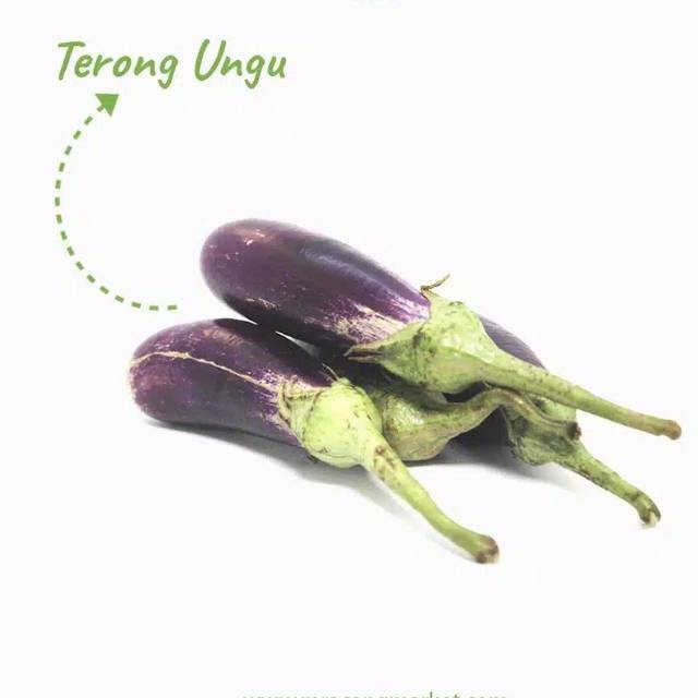 

Terong Ungu Per pack