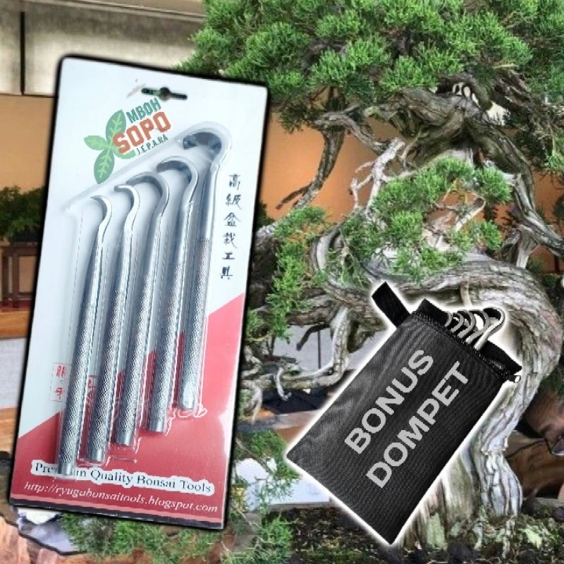 Alat Bonsai, Alat Ukir Ryuga Stenlis, Jin Bonsai Carving Tool's Ryuga CTA