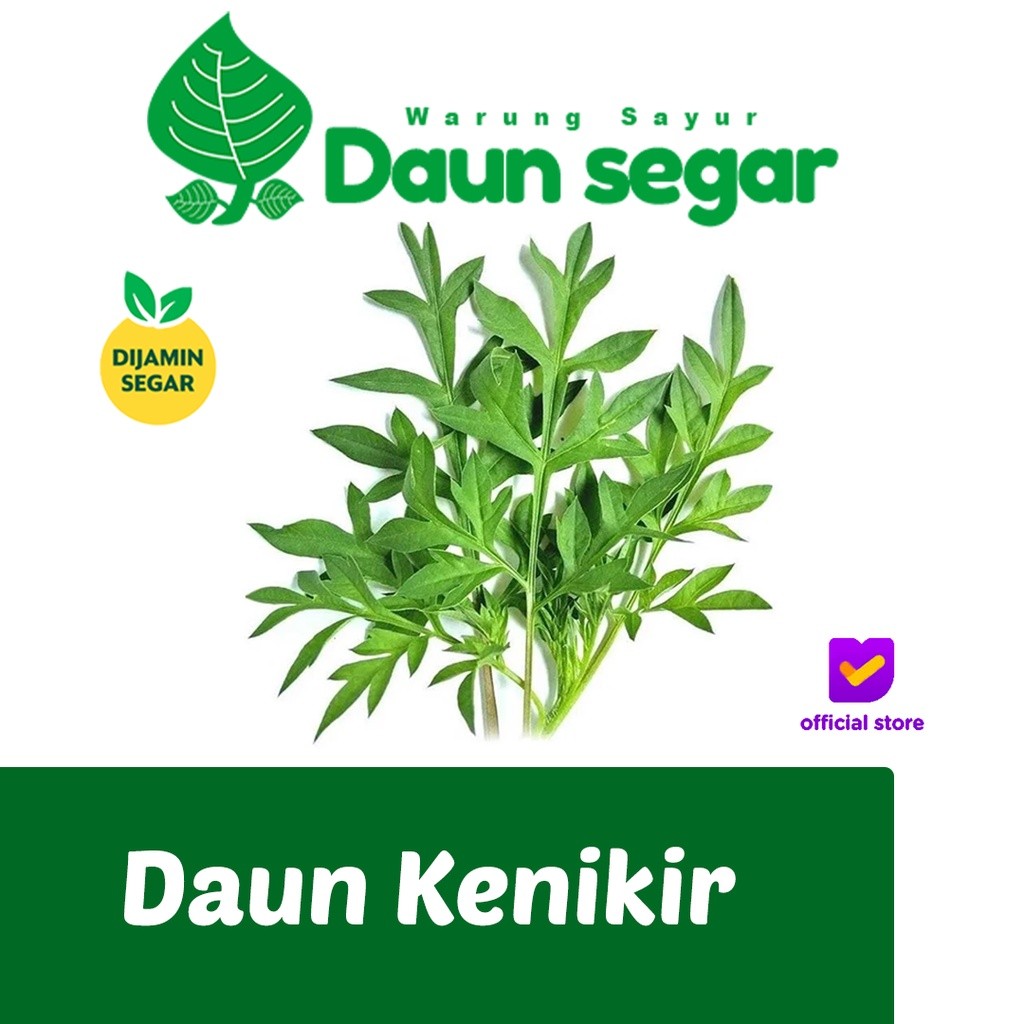 

Daun Kenikir Fresh Segar Per-ikat Besar