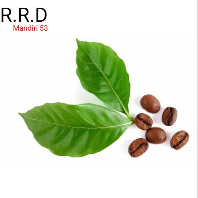 

Promo Daun kopi segar alami netto 100gram siap petik