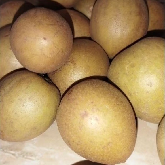 

MTBlazter - Buah Sawo Matang Manis Segar 1 Kg – Buah Lokal Pilihan Berkualitas