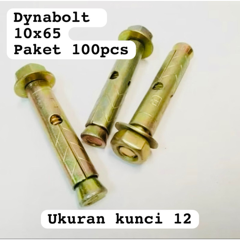 TEAMOR [ paket 100pcs ] Dynabolt 10x50 65 77 8x40 65 85