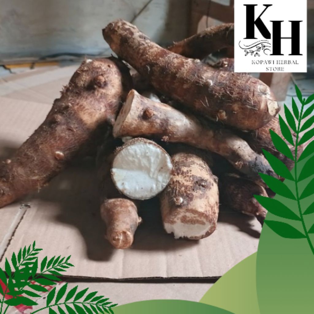 

Umbi Talas Gajah Puleun dangat bergizi bersih sehat Isi 1 kg