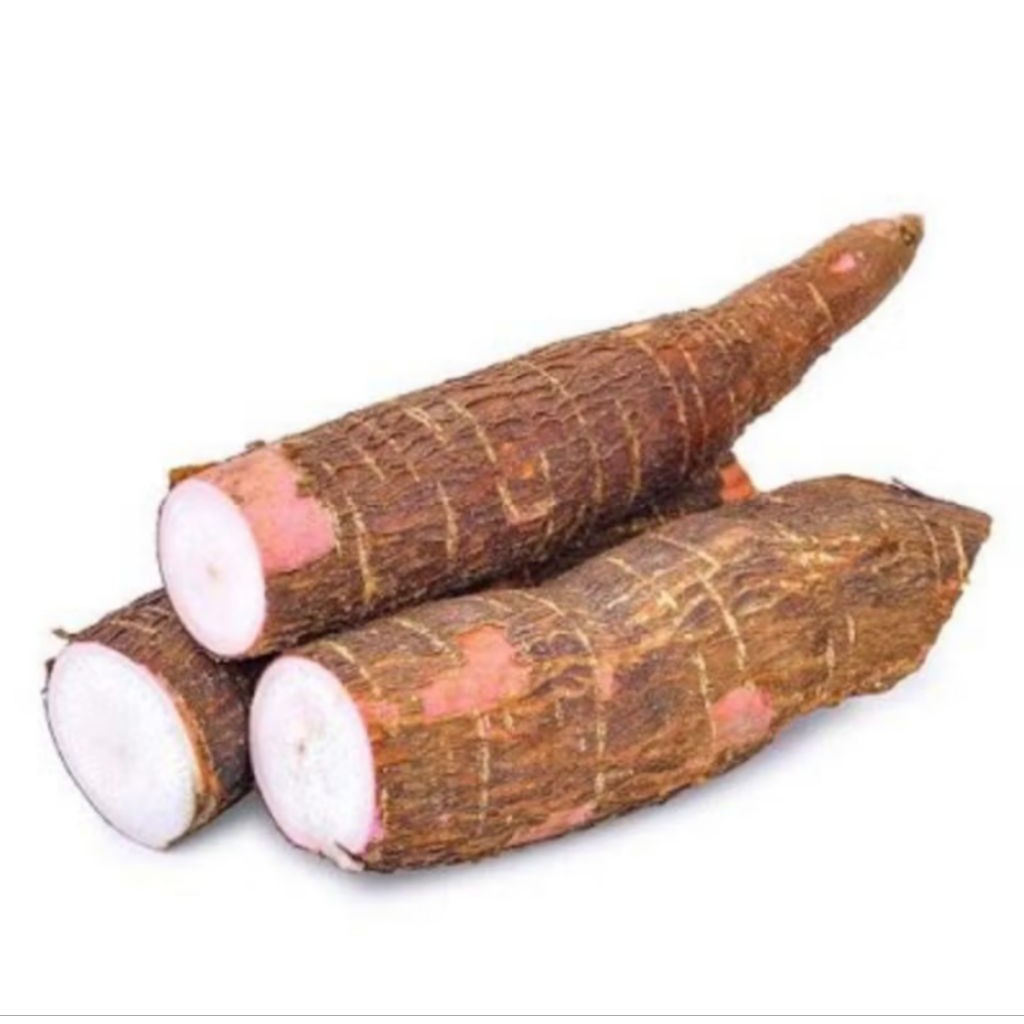 

Singkong Segar 1 Kg – Singkong Kuning Empuk Tidak Pahit Fresh Mentah Hasil Kebun Sendiri