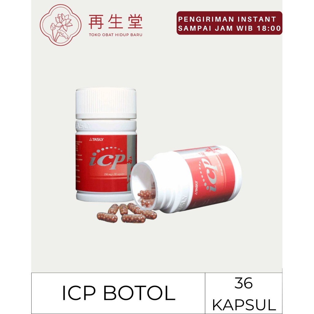 ICP CAPSULE | MEMELIHARA KESEHATAN JANTUNG