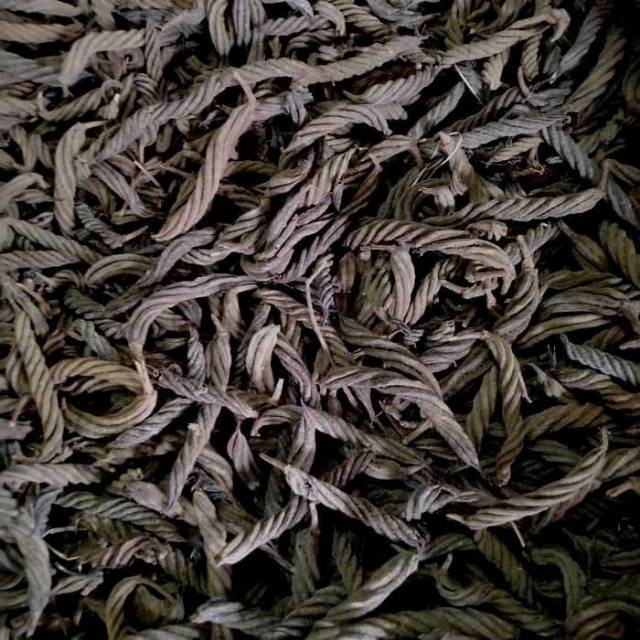 

Kayu Ules 1kg - Kayu Puteran - Herbal Kayu Ules