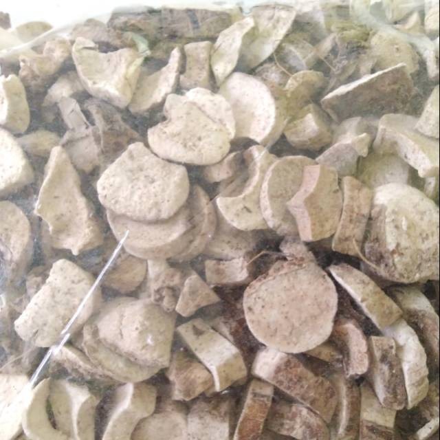 

Keladi Tikus Kering 100gr / Herbal Keladi Tikus