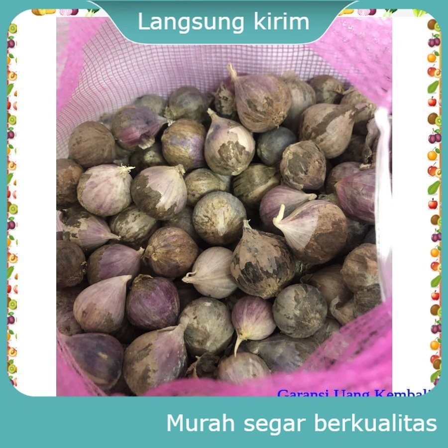

Bawang Putih Tunggal Lanang 100 gr