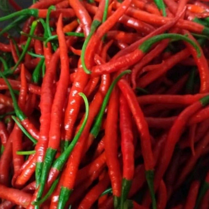 

Cabai Merah Per 100gram