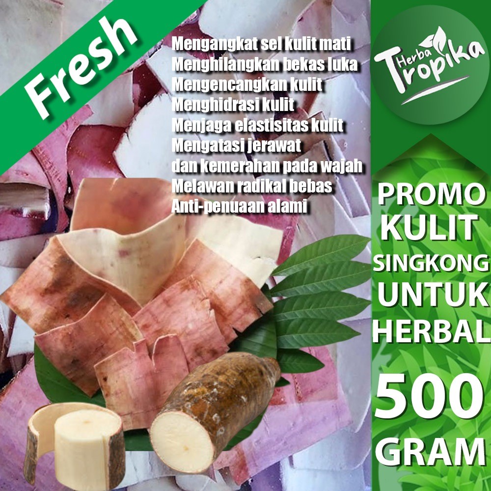 

Kulit Singkong Fresh 500 gram untuk herbal toko herba tropika