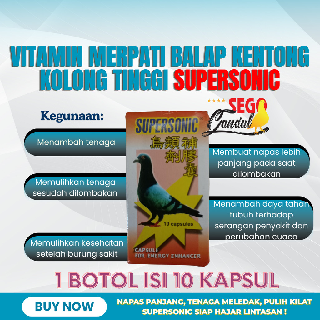 Vitamin Merpati Balap Kentong Kolong Tinggi Supersonic 1 botol isi 10 kapsul