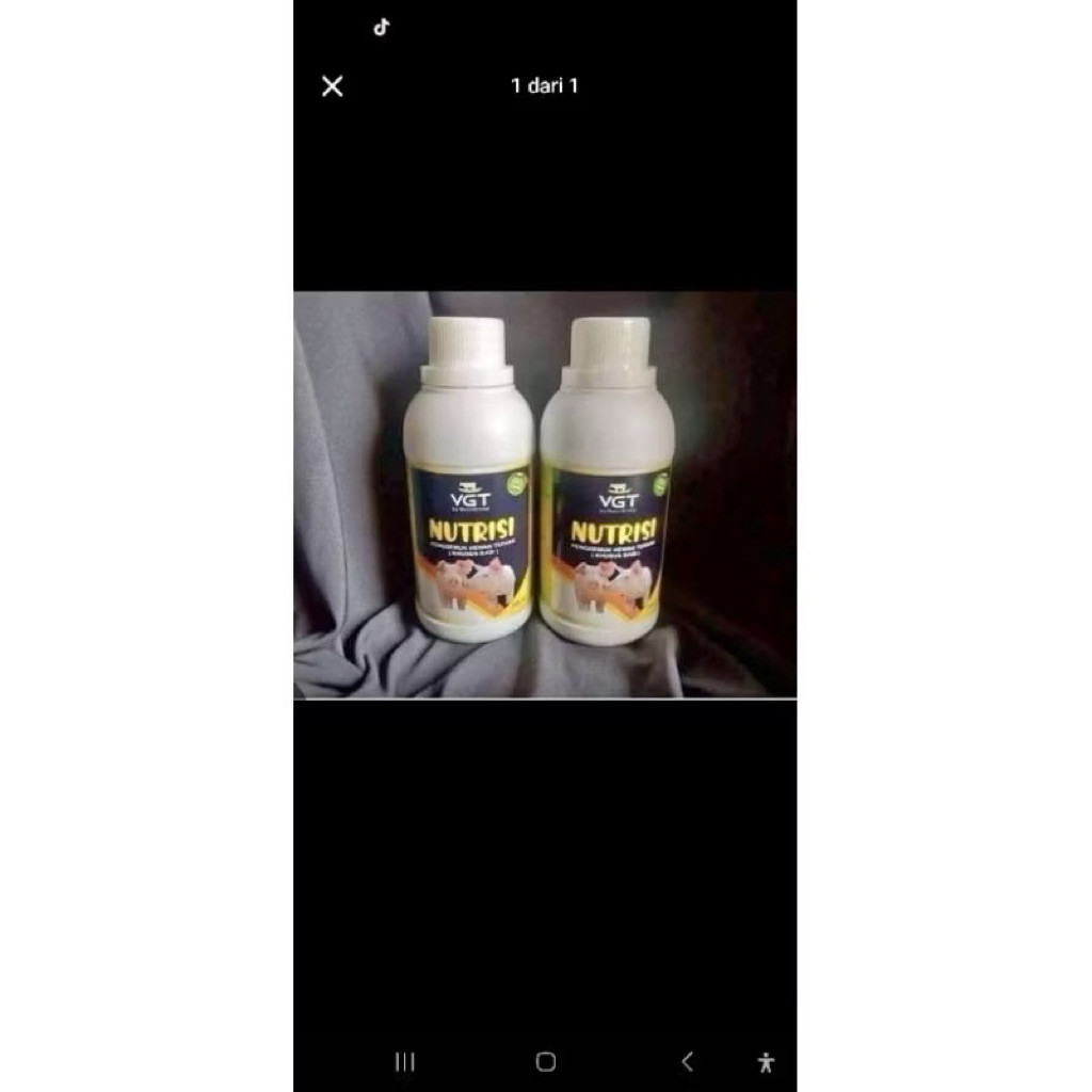 VGT BABI UNTUK TERNAK BABI