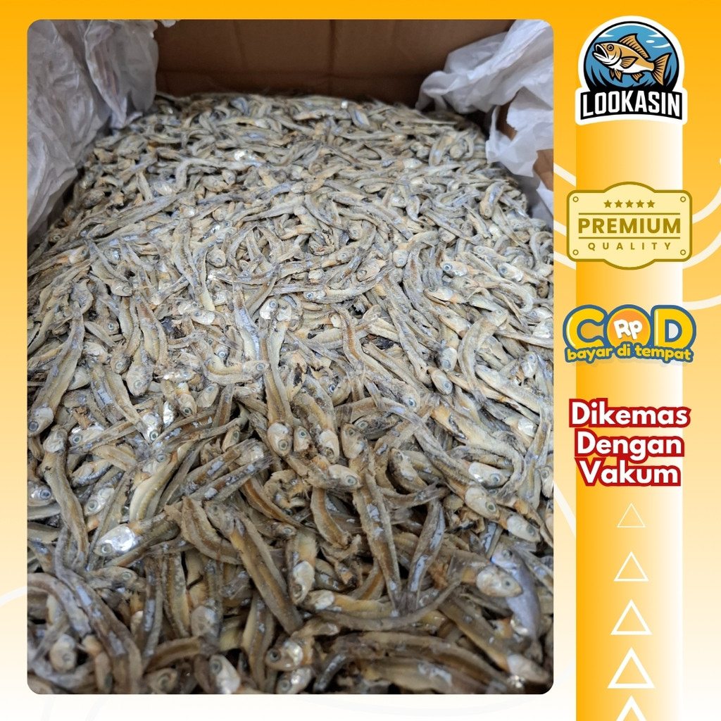 

Teri Asin Campur 500gr – Aneka Ikan Asin Pilihan | Ekonomis & Gurih