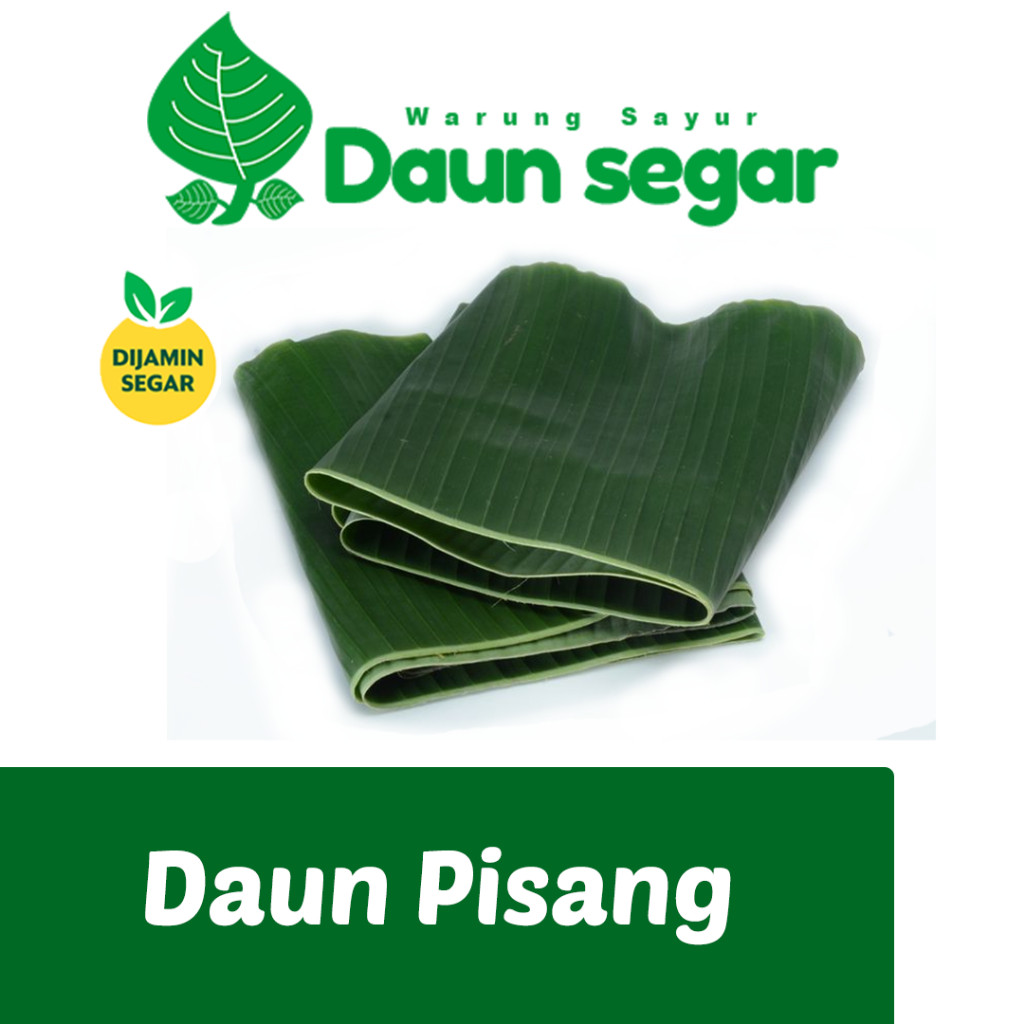 

Daun Pisang Lebar besar Fresh