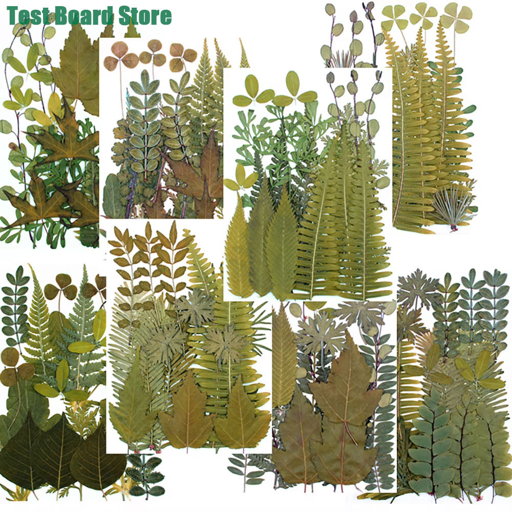 

1 Pack Dry Leaf Material Package DIY Crystal Resin Mold Filling Material UV Embossing Bookmark Pressed Flowers Home Decor Crafts