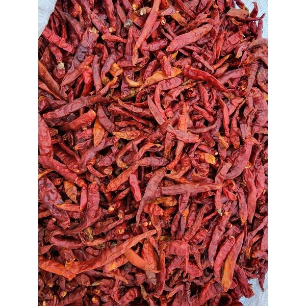 

cabe kering tanpa tangkai 500gram