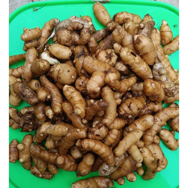 

Kunyit putih . herbal alami 1000 gram. pres dan original