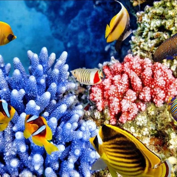 5D DIY Diamond Painting Full Drill 30x40cm Lukisan Kristik Diamond - Motif #1