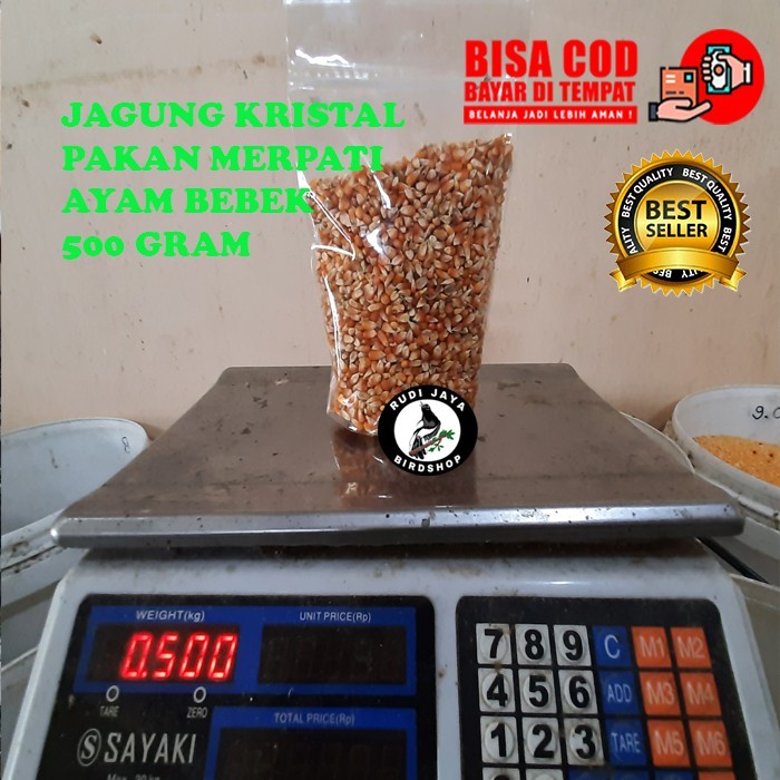 READY JAGUNG KRISTAL 500 GRAM PAKAN MAKANAN AYAM BEBEK UNGGAS BURUNG MERPATI DERKUKU PUTER PELUNG