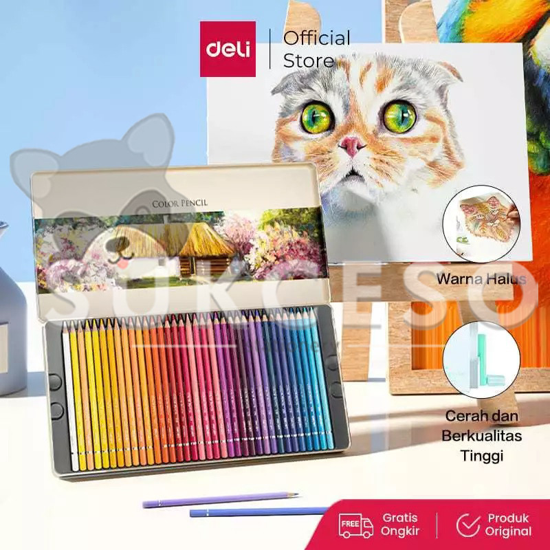

DELI Oil Color Pencil - Pensil Warna Minyak Pigmented Murah