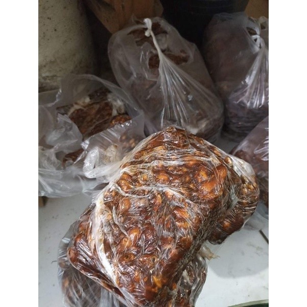 

Asam jawa biji kuning