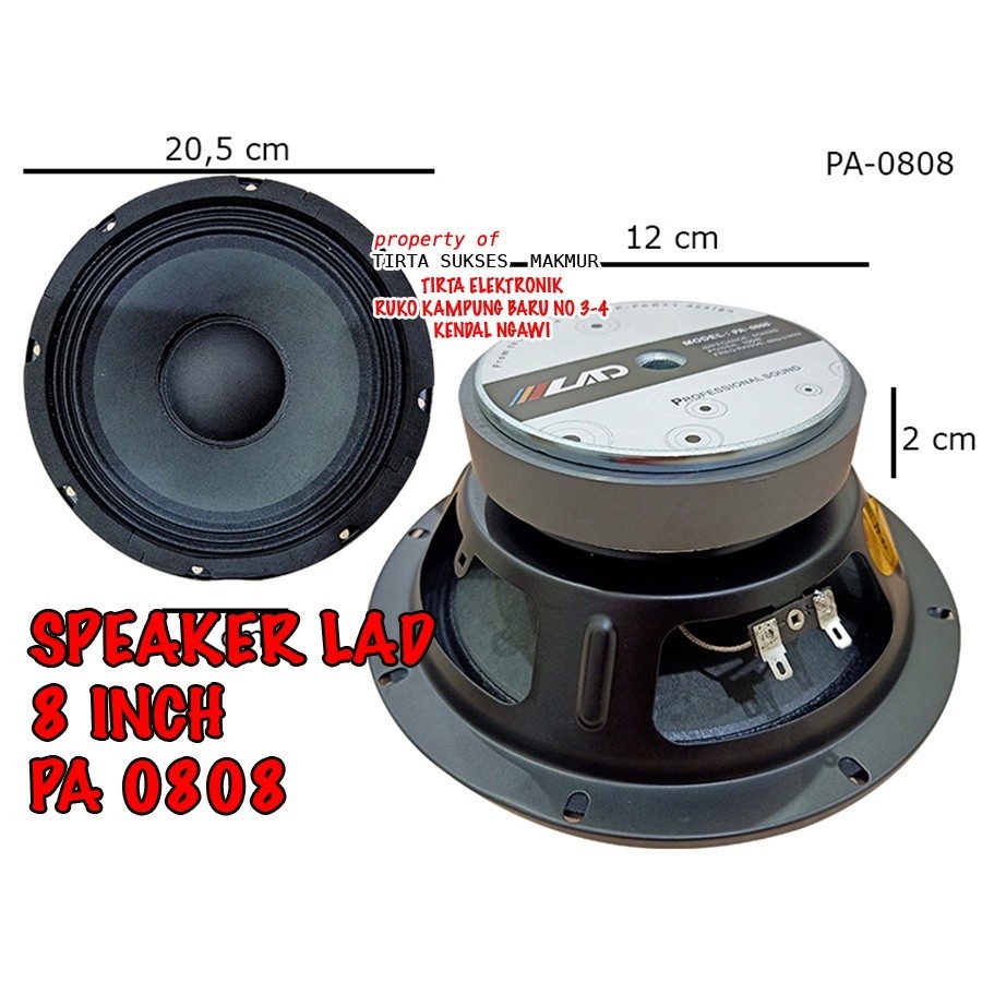 SPEAKER LAD 8 INCH PA-0808