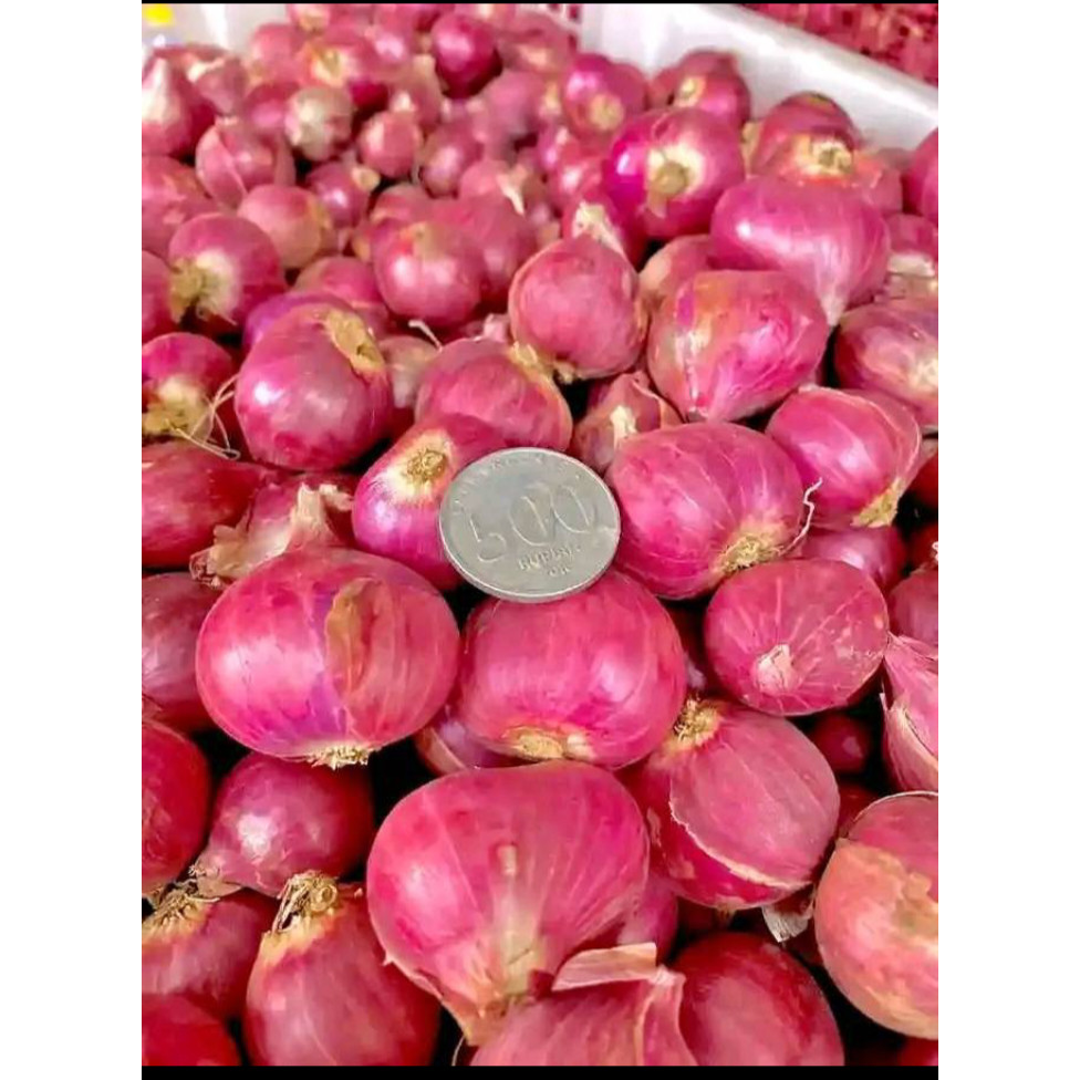 

Bawang Merah Garut isi 250 gr