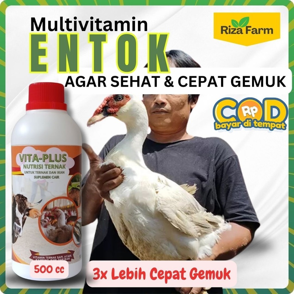 Vitamin Entok Cepat Besar Vitamin Entok Cepat Bertelur / Nutrisi Booster Ternak Entok